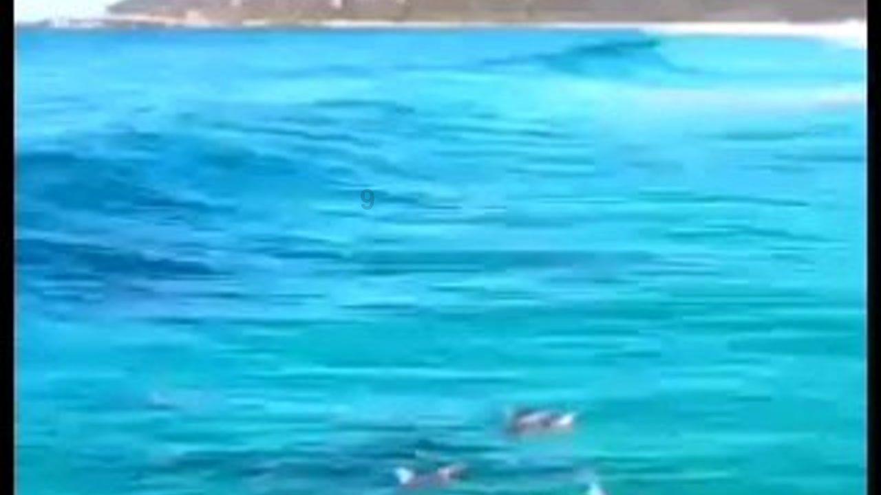 输卵管积水=难孕!积水的罪魁祸首原来是它!